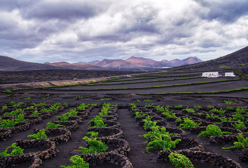 Descripción de la imagen del plan 3